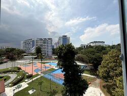 Blk 605 Eunos Rainbow (Bedok), HDB 5 Rooms #559733031